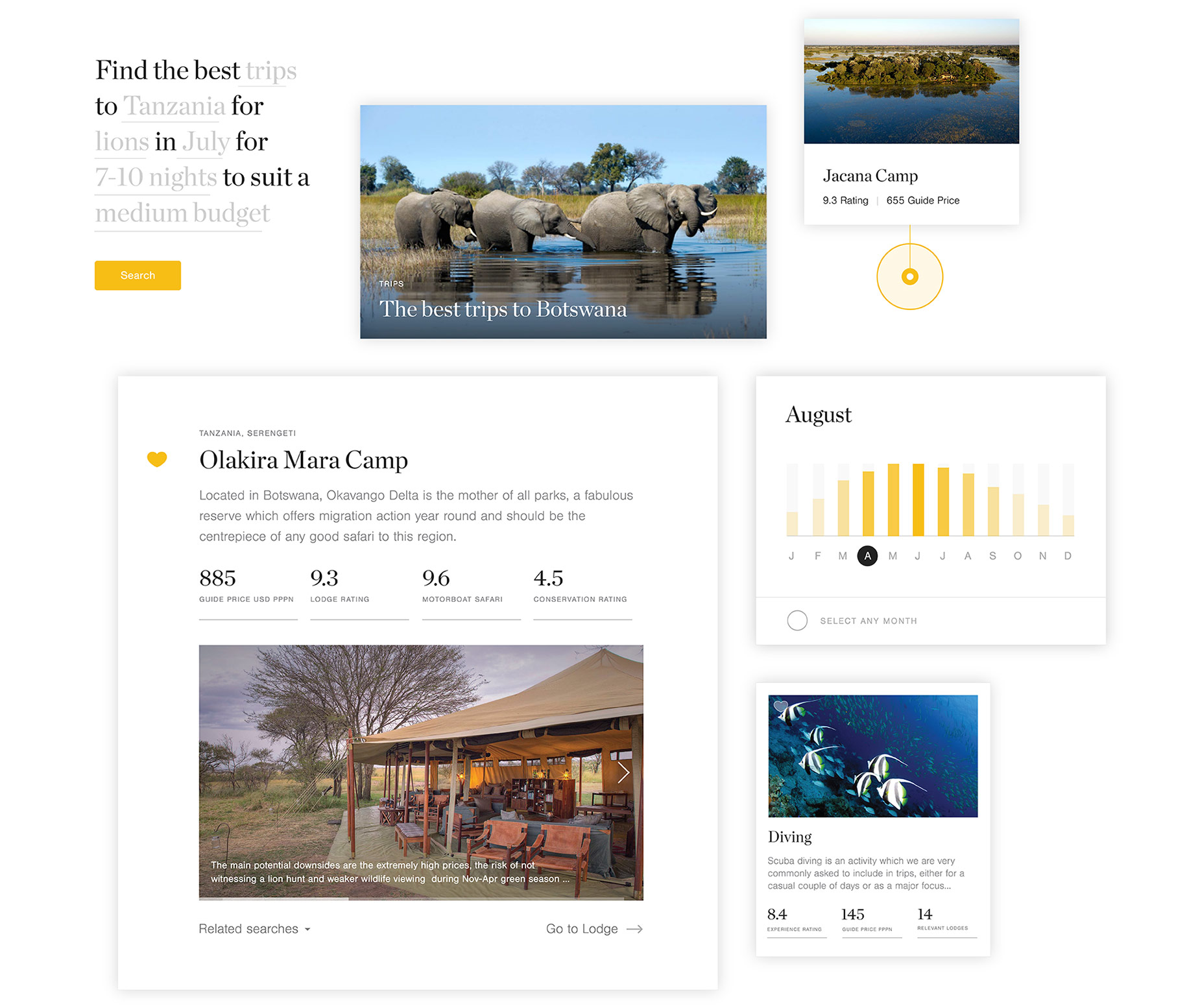 website search functionality