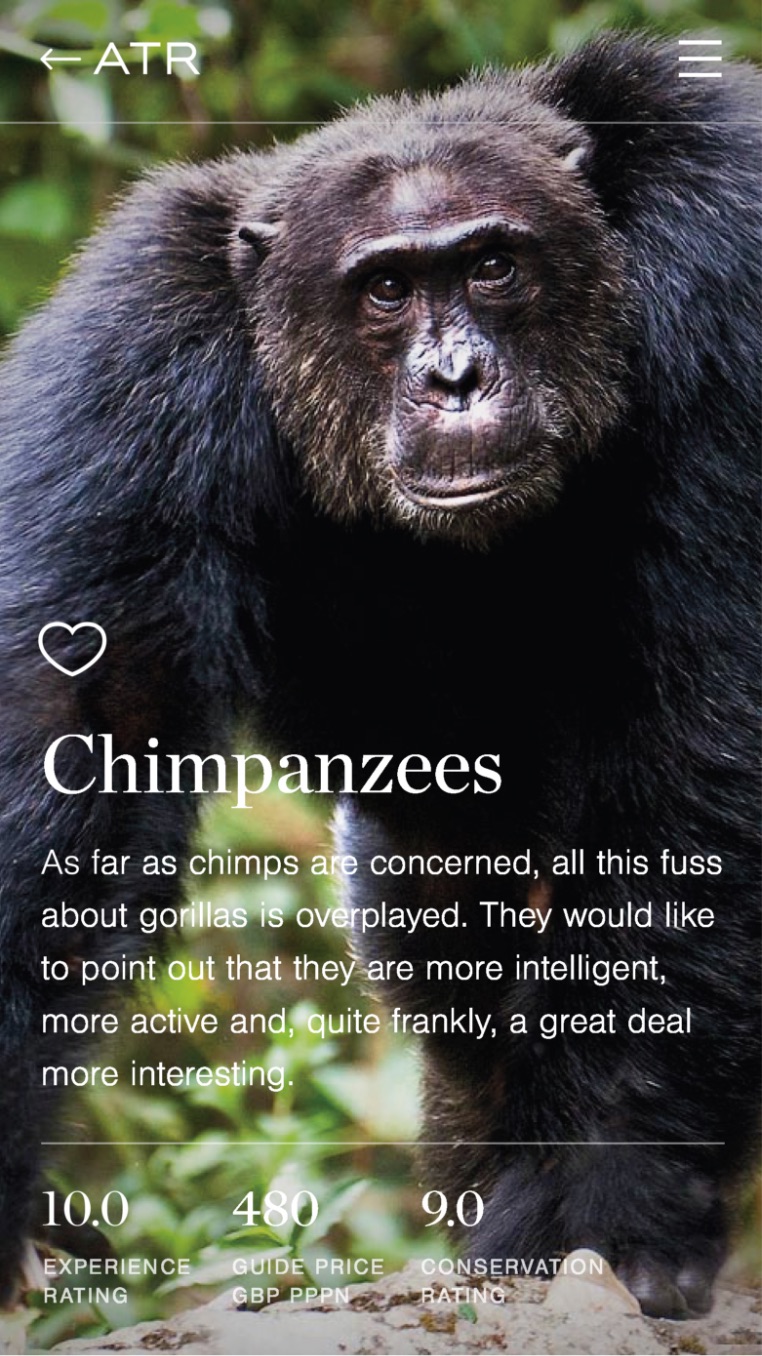 Chimpanzee mobile screenshot